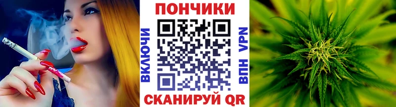 мега онион  купить наркотик  Иланский  Бошки марихуана White Widow 